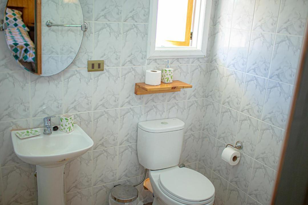 Roble Austral Hostal Coyhaique Exteriör bild